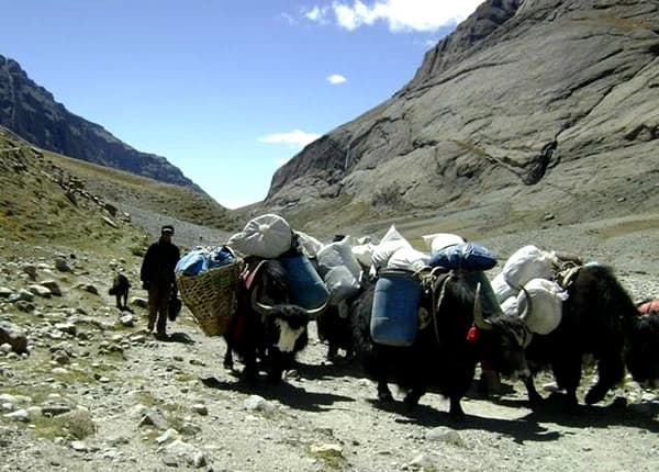 Tibet Trekking