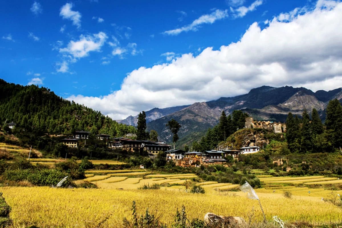 Bhutan Jhomolhari Trek