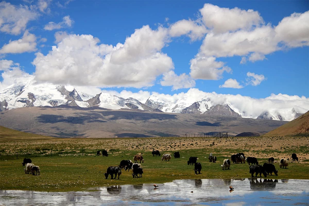 Tibet Mountain Bike Tour