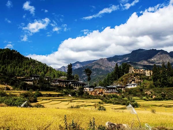 Bhutan Jhomolhari Trek